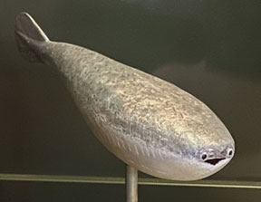 サカバンバスピスの復元模型